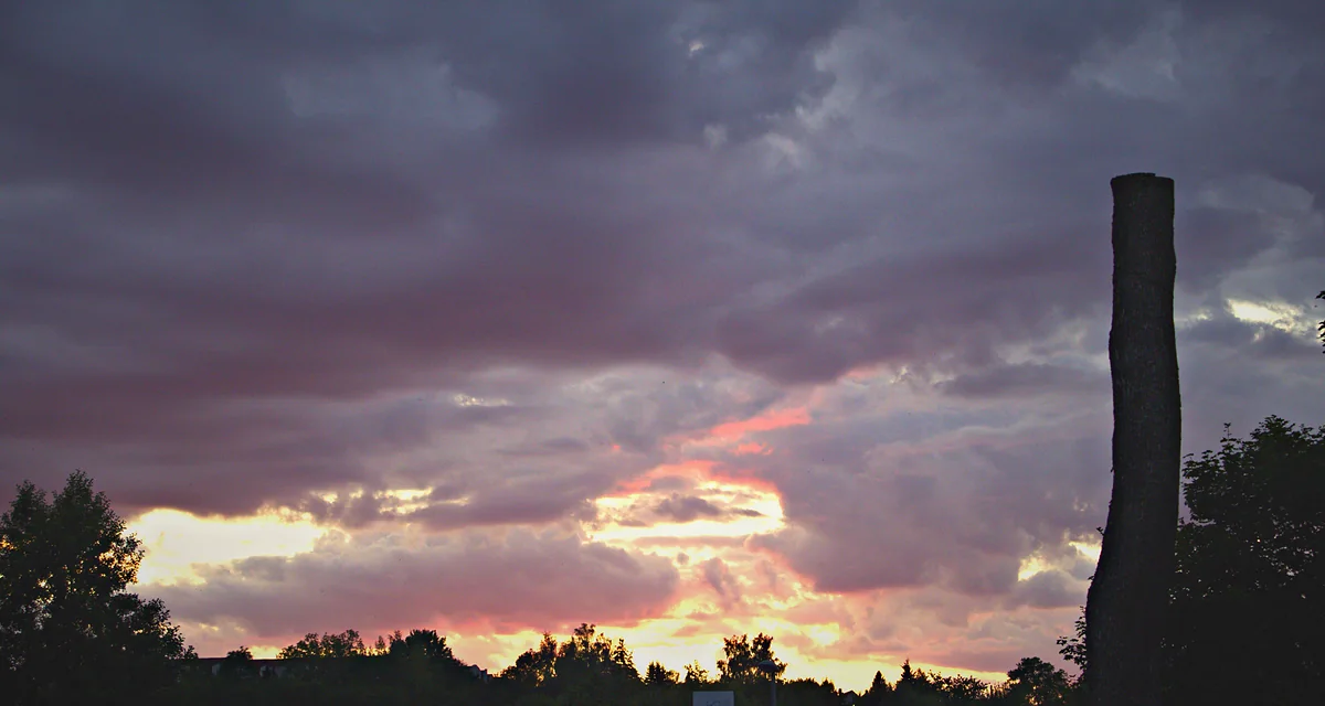 Abendwolken hinter dem Stamm eines abgestorbenen Baumes